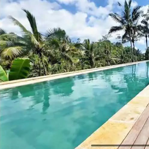 canggu property 