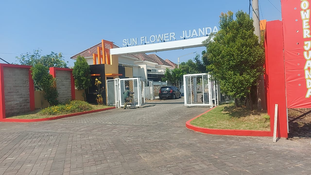 Sunflower Juanda - Thumbnail 5